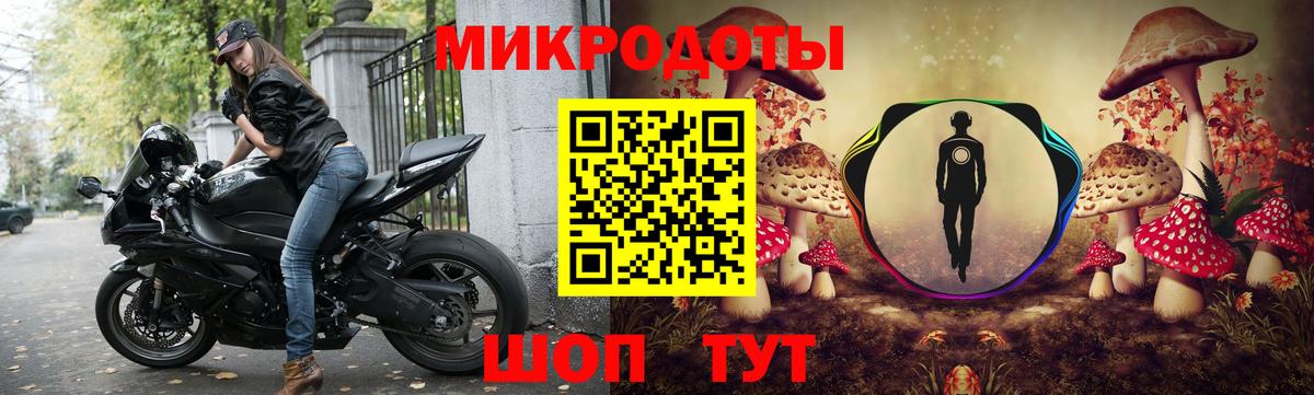 Галлюциногенные грибы Psilocybe  Вход с VPN  Находка  Псилоцибиновые грибы мухоморы 