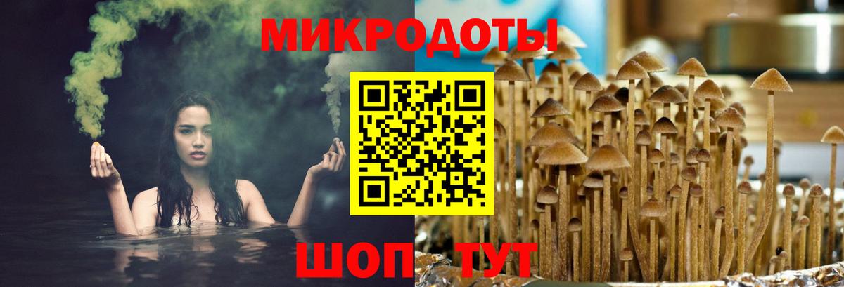 Галлюциногенные грибы MAGIC MUSHROOMS Находка